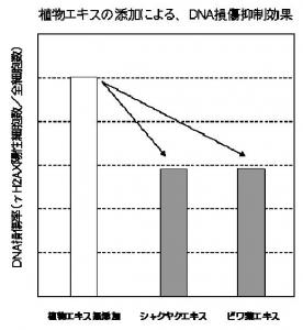 コーセー